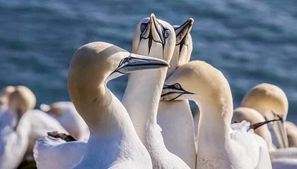 盒马鲜生礼品卡如何选择回收渠道及回收流程