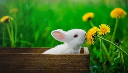 盒马鲜生礼品卡如何选择回收渠道及回收流程