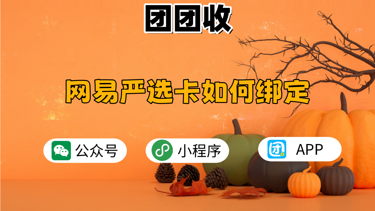 网易严选卡大6.png